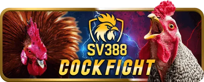 Ưu đãi chào mừng thành viên mới z88